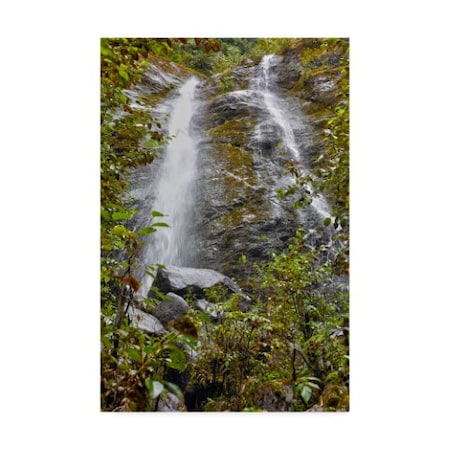 Mitch Catanzaro 'Waterfall' Canvas Art,22x32